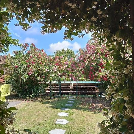 Cosy En Provence Villa Maillane Dış mekan fotoğraf