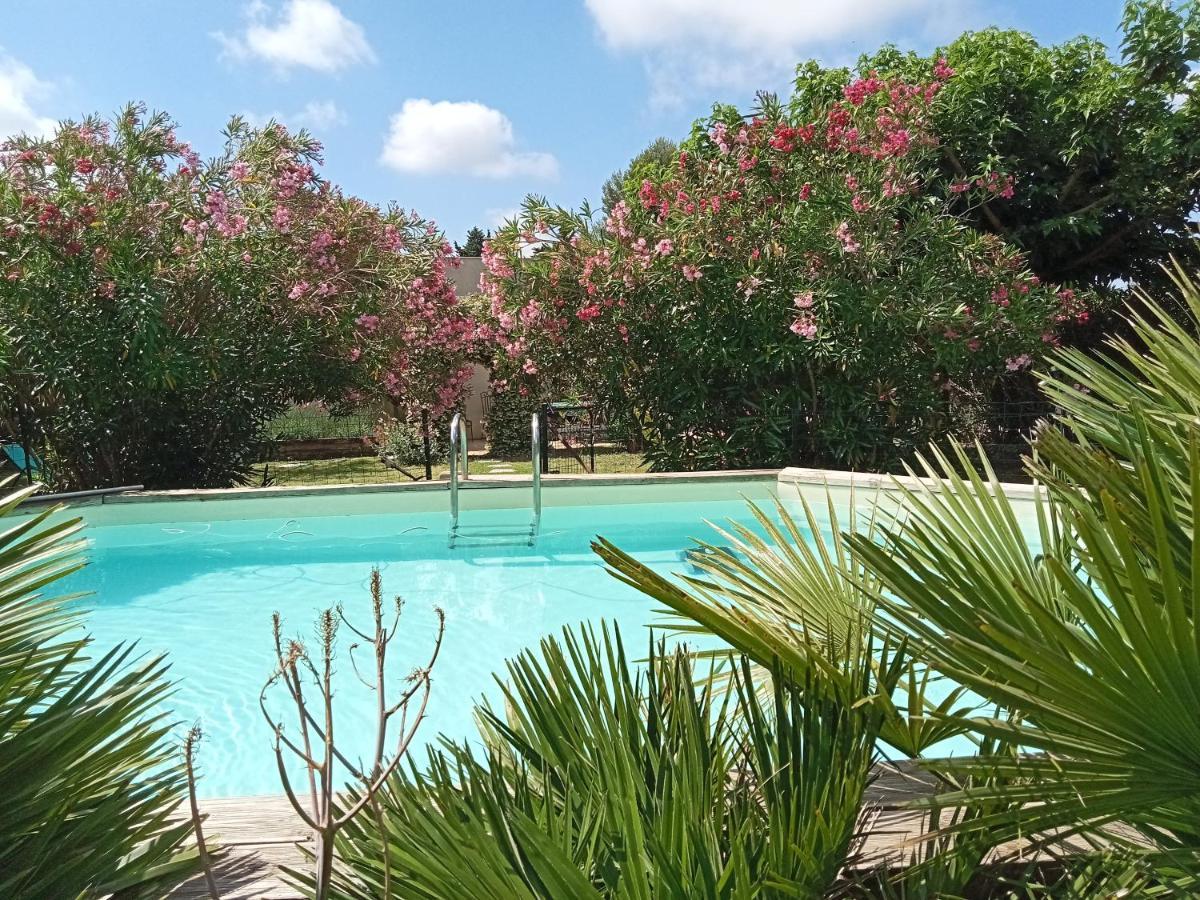 Cosy En Provence Villa Maillane Dış mekan fotoğraf