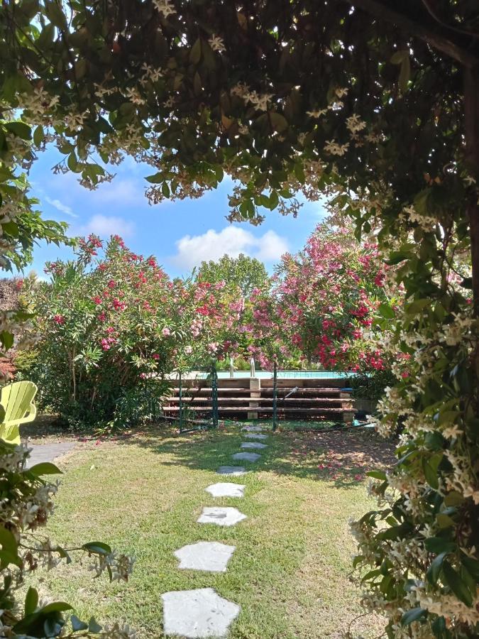 Cosy En Provence Villa Maillane Dış mekan fotoğraf